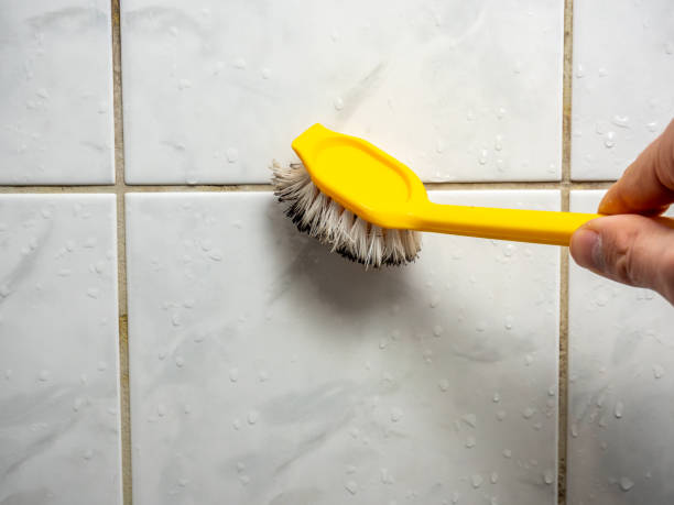 Best Preventive Mold Services in Keedysville, MD