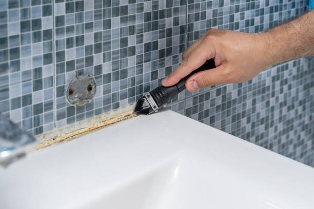 Best Insurance-Related Mold Remediation in Keedysville, MD
